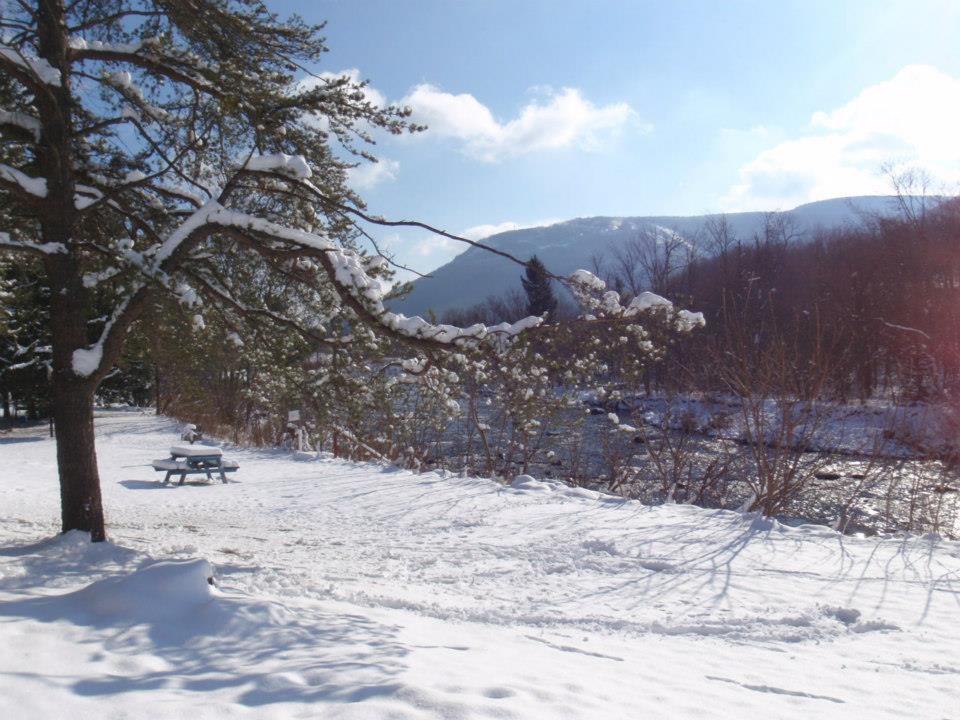 Hunter View Lodging 外观 照片